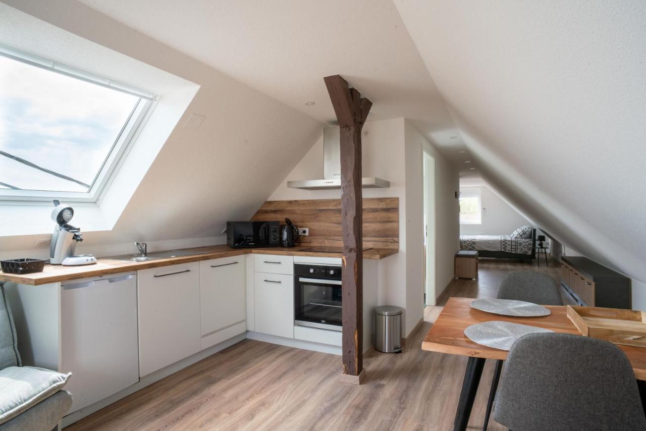 Gemuetlich 7 - Appartement Cosy Climatise Wissembourg Exterior foto